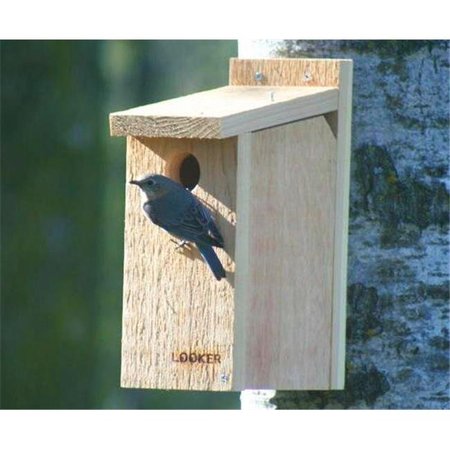 SONGBIRD ESSENTIALS Songbird Essentials SE542 Bluebird View Thru SE542